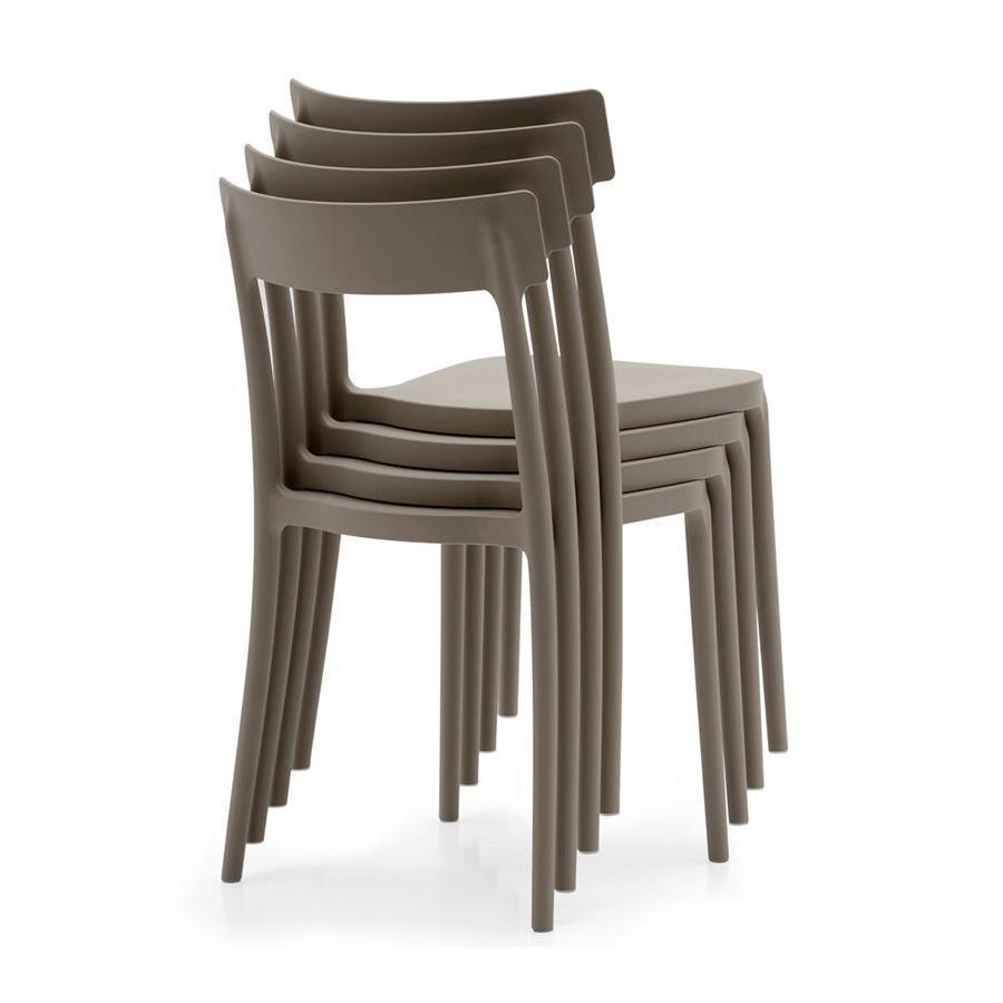 Argo Chair