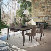 Fay Chair