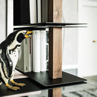Tokyo Bookcase
