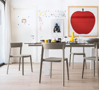 Skin Chair