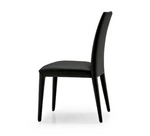 CS1266 ANAIS