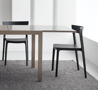 Skin Chair