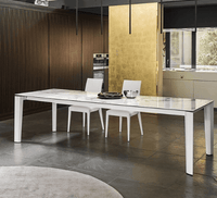 Delta Extendable Table