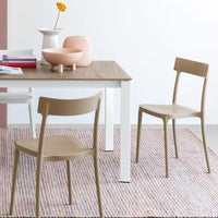 Argo Chair