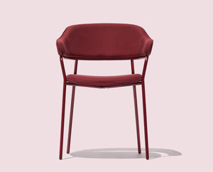 CB2111 SIGNORINA